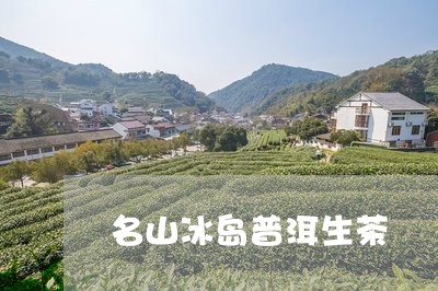 名山冰岛普洱生茶/2023033040150