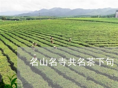 名山名寺共名茶下句/2023041694025