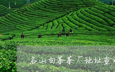 名山白茶茶厂地址查询电话/2023040203614