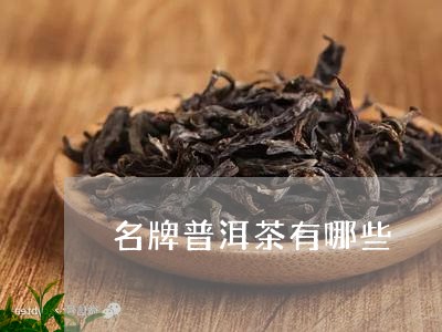 名牌普洱茶有哪些/2023041046492