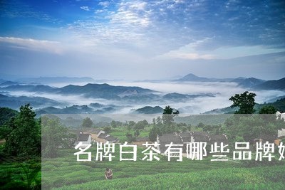 名牌白茶有哪些品牌好一点/2023040272835