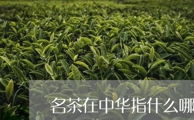 名茶在中华指什么哪/2023032040614