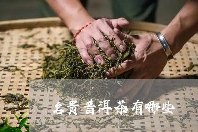 名贵普洱茶有哪些/2023041438360