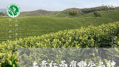 名贵红茶有哪些品种/2023041709471