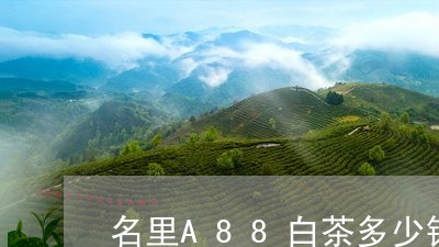 名里A88白茶多少钱一斤/2023033105937