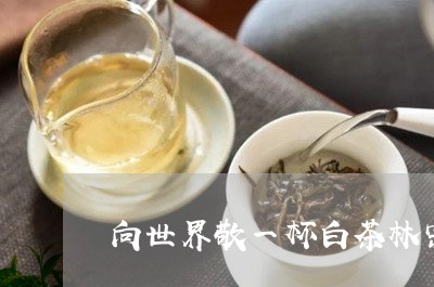 向世界敬一杯白茶林宗洪斌/2023040246170