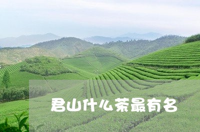 君山什么茶最有名/2023032315930