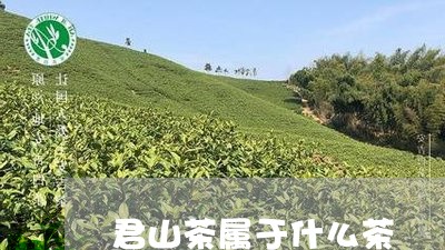 君山茶属于什么茶/2023032392027