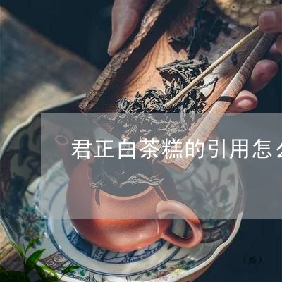 君正白茶糕的引用怎么引用/2023040237351