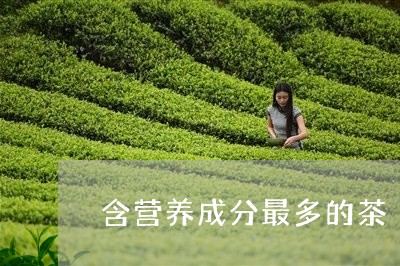 含营养成分最多的茶/2023031958361