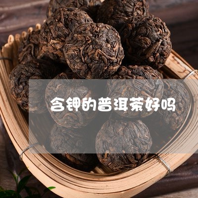 含钾的普洱茶好吗/2023041303928