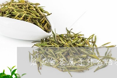 启山白茶属于什么档次的茶/2023040231483