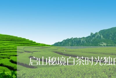 启山秘境白茶时光独白铂礼/2023040231623