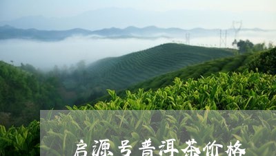 启源号普洱茶价格/2023031606269