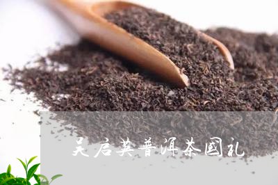 吴启英普洱茶国礼/2023033038169