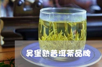 吴堡熟普洱茶品牌/2023041255069