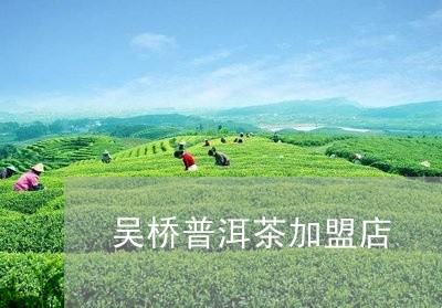 吴桥普洱茶加盟店/2023032936238