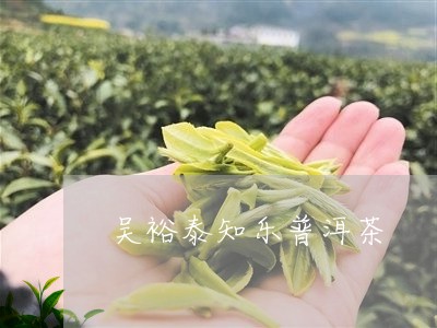 吴裕泰知乐普洱茶/2023033186260