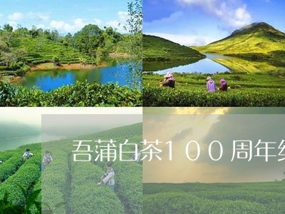 吾蒲白茶100周年纪念砖/2023033022605