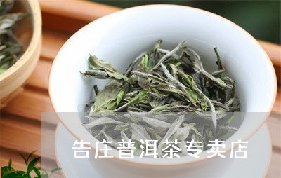 告庄普洱茶专卖店/2023033031836