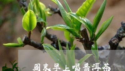 周末早上喝普洱茶/2023041049704