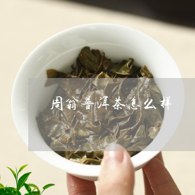 周翁普洱茶怎么样/2023033028260