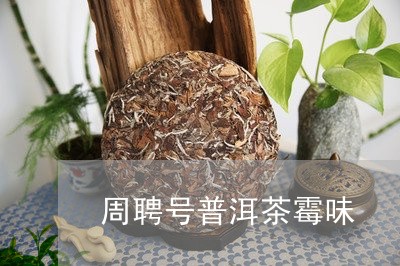 周聘号普洱茶霉味/2023040168382