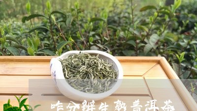 咋分辨生熟普洱茶/2023041260793