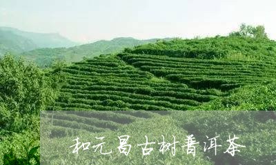 和元昌古树普洱茶/2023033131482