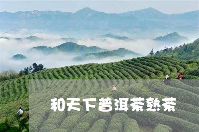 和天下普洱茶熟茶/2023041102847