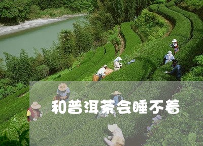 和普洱茶会睡不着/2023032949383