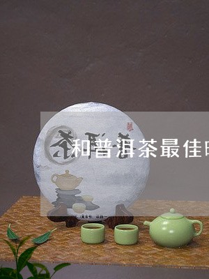 和普洱茶最佳时间/2023041073849