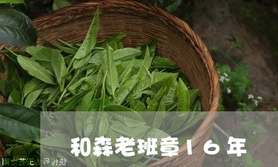 和森老班章16年/2023032961615