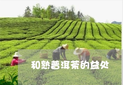 和熟普洱茶的益处/2023031785917