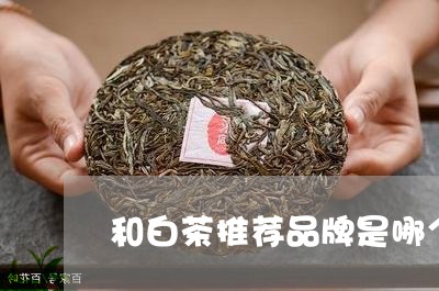 和白茶推荐品牌是哪个/2023032903827