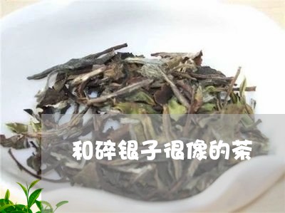 和碎银子很像的茶/2023032405036