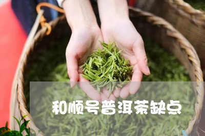 和顺号普洱茶缺点/2023041057350