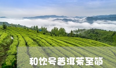 和饮号普洱茶至简/2023033016161