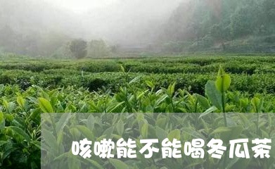 咳嗽能不能喝冬瓜茶/2023041415826