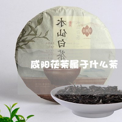 咸阳茯茶属于什么茶/2023031916062