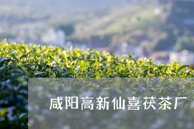 咸阳高新仙喜茯茶厂/2023041622914