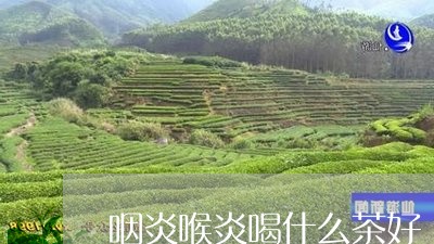 咽炎喉炎喝什么茶好/2023041658149