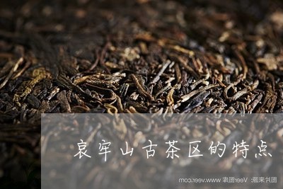 哀牢山古茶区的特点/2023041615039