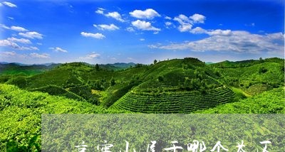 哀牢山属于哪个茶区/2023032097629