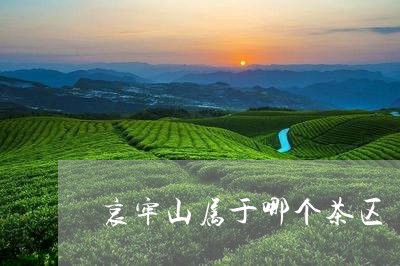 哀牢山属于哪个茶区/2023041658492