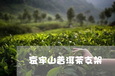 哀牢山普洱茶支架/2023040108371