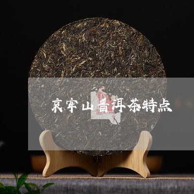 哀牢山普洱茶特点/2023041279613