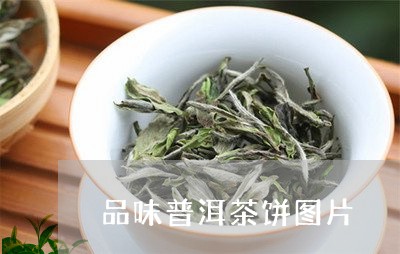 品味普洱茶饼图片/2023041351826