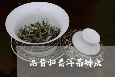 品昔归普洱茶特点/2023031794829