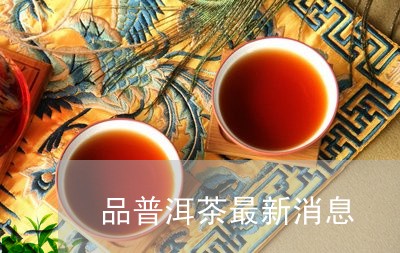 品普洱茶最新消息/2023040143816